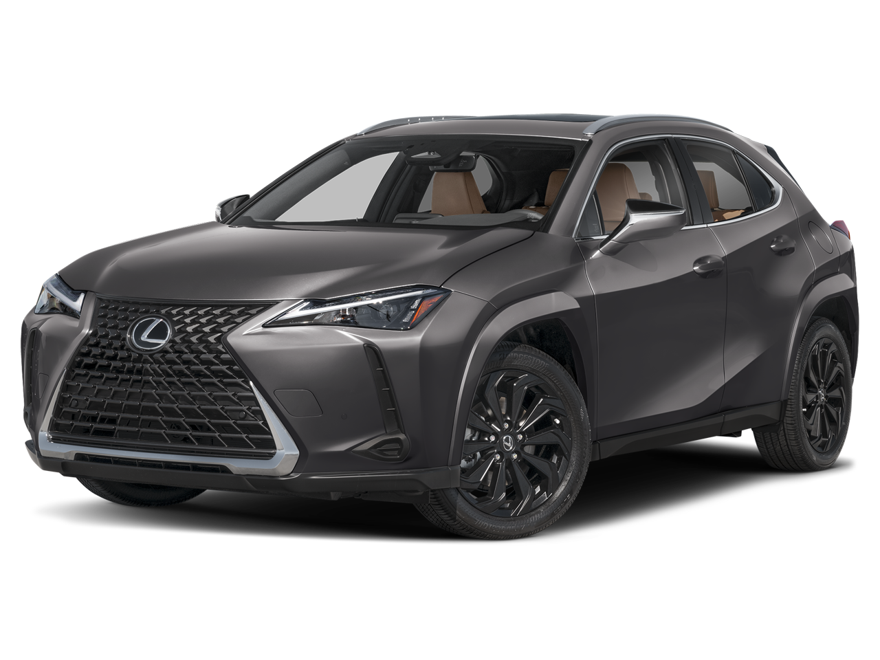 2025 Lexus UX 300h 300h AWD's photo