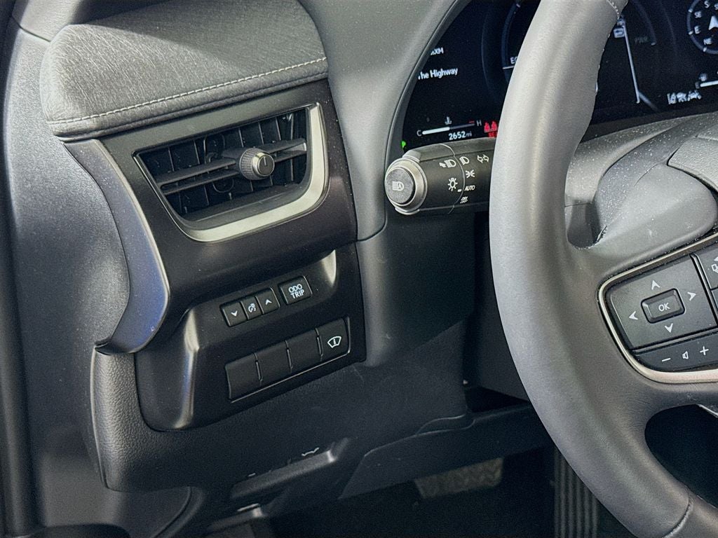 2025 Lexus UX 300h 300h Premium