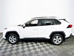 2019 Toyota RAV4 XLE Preferred Owners Prtfolio