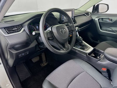 2019 Toyota RAV4 XLE Preferred Owners Prtfolio